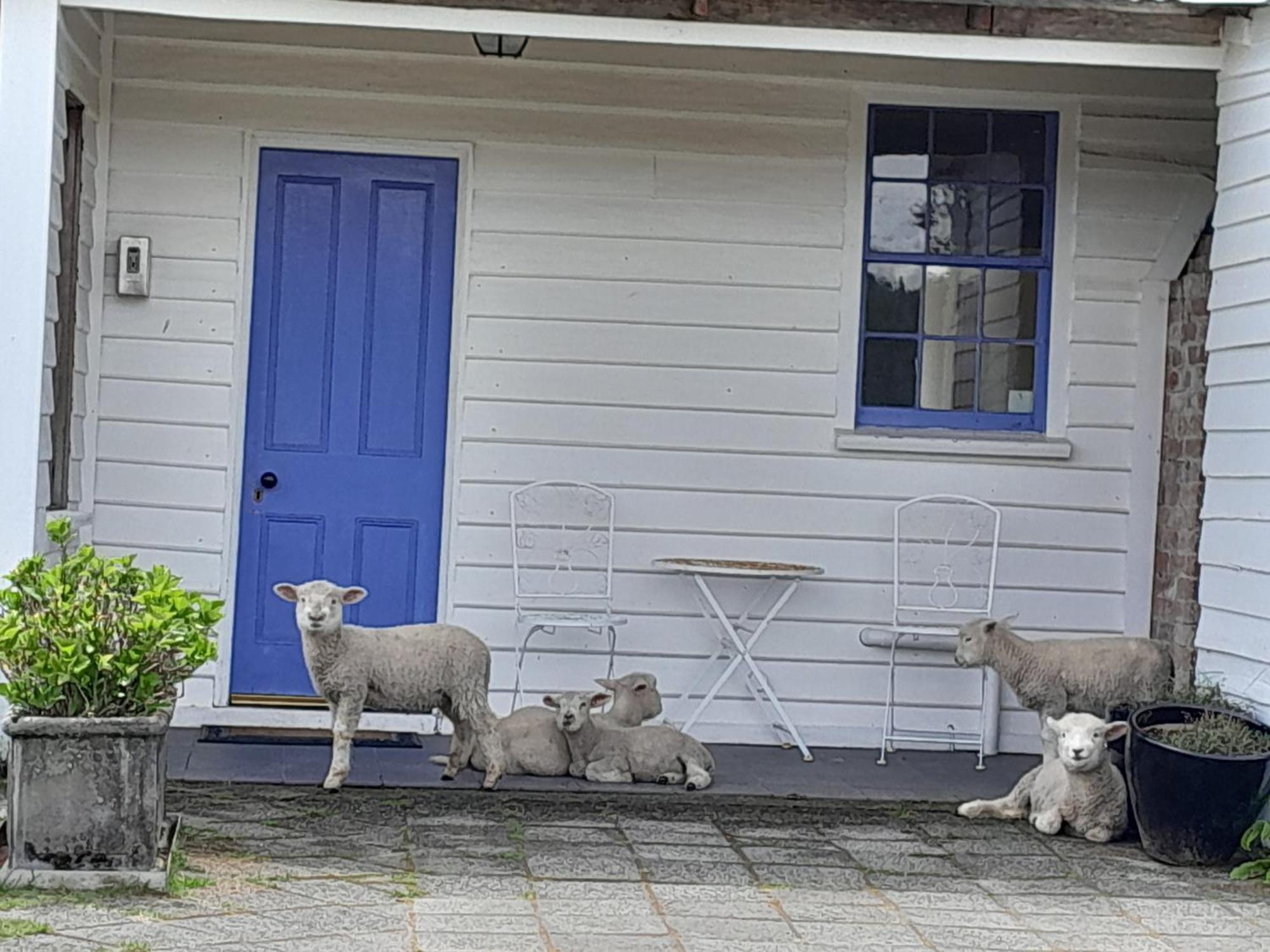 Buttons Cottage In Natures Paradise Nietta ภายนอก รูปภาพ